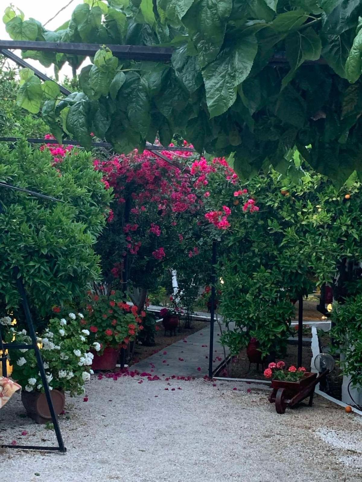 Cottonclub Villas Τολό Εξωτερικό φωτογραφία