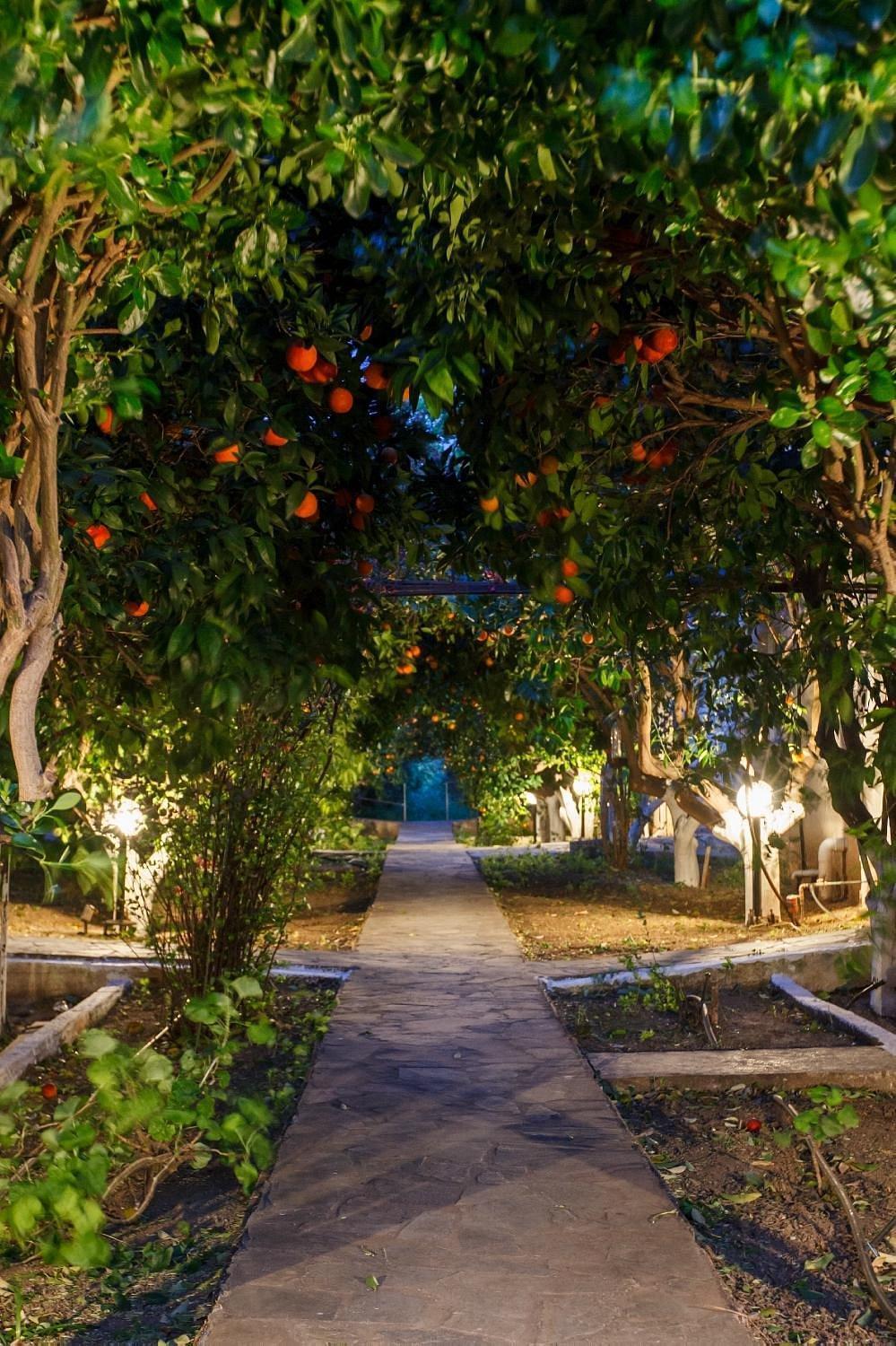 Cottonclub Villas Τολό Εξωτερικό φωτογραφία