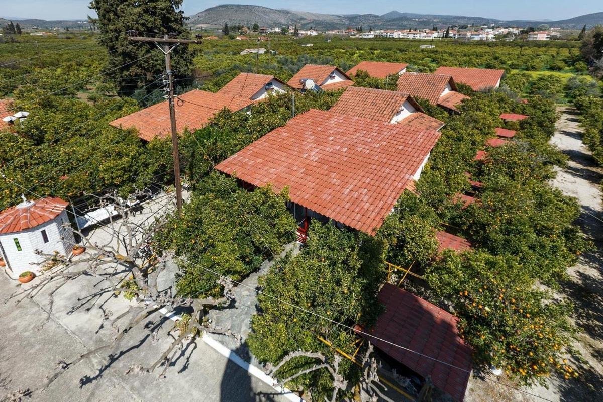 Cottonclub Villas Τολό Εξωτερικό φωτογραφία