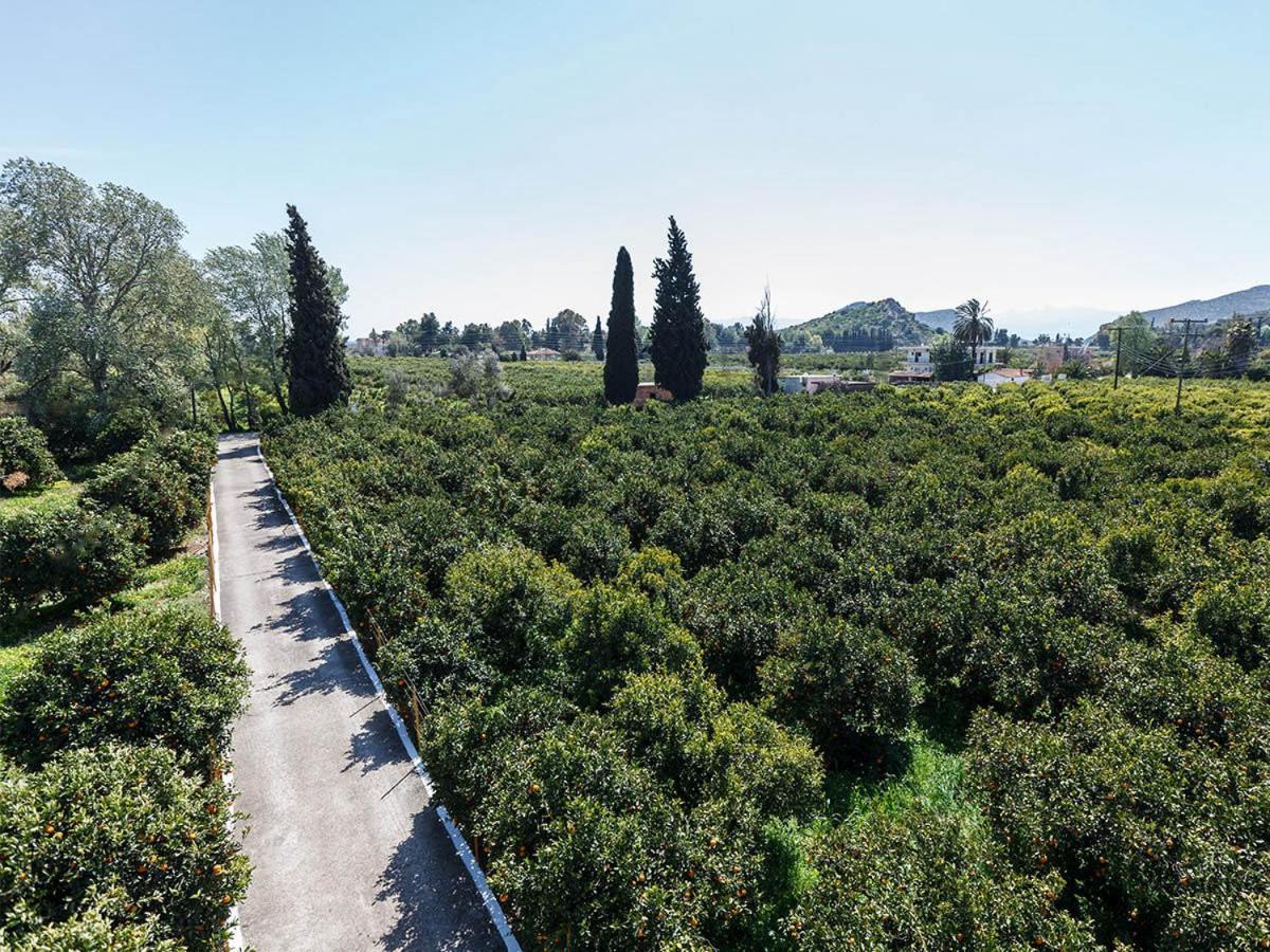 Cottonclub Villas Τολό Εξωτερικό φωτογραφία
