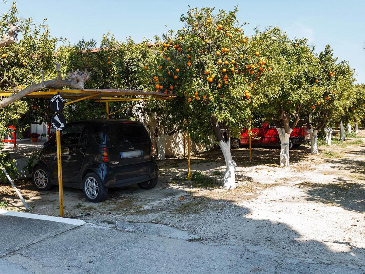 Cottonclub Villas Τολό Εξωτερικό φωτογραφία