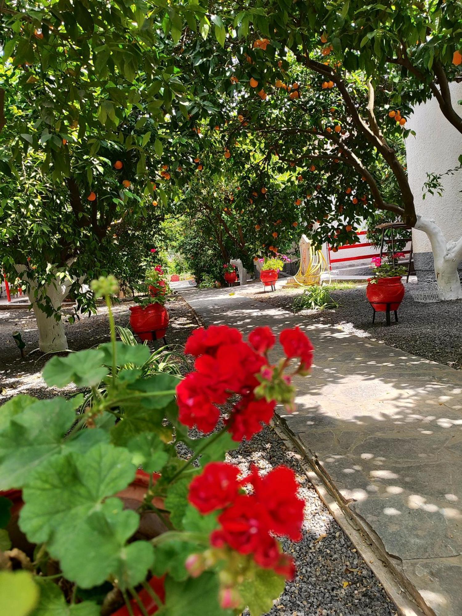 Cottonclub Villas Τολό Εξωτερικό φωτογραφία
