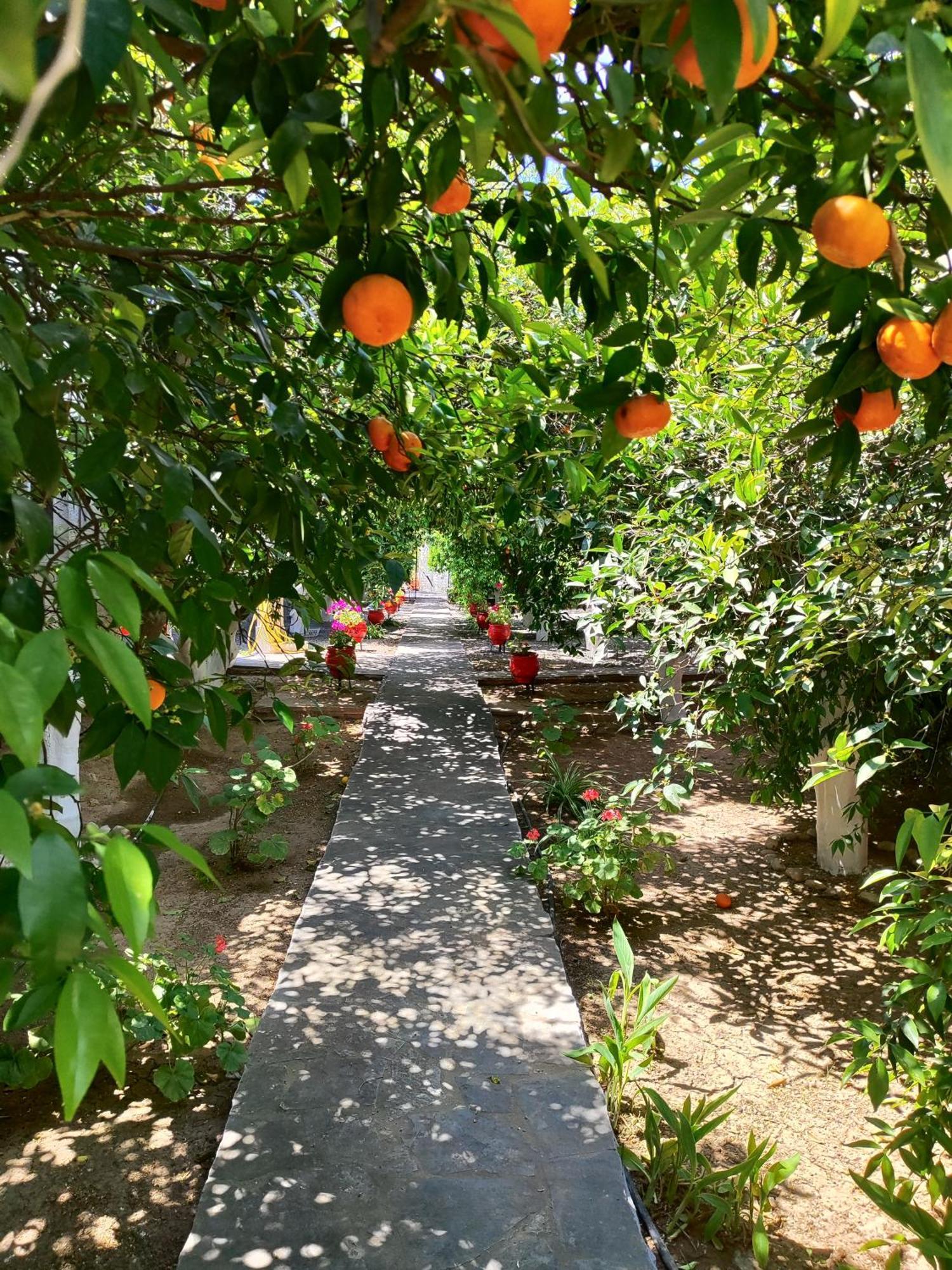 Cottonclub Villas Τολό Εξωτερικό φωτογραφία