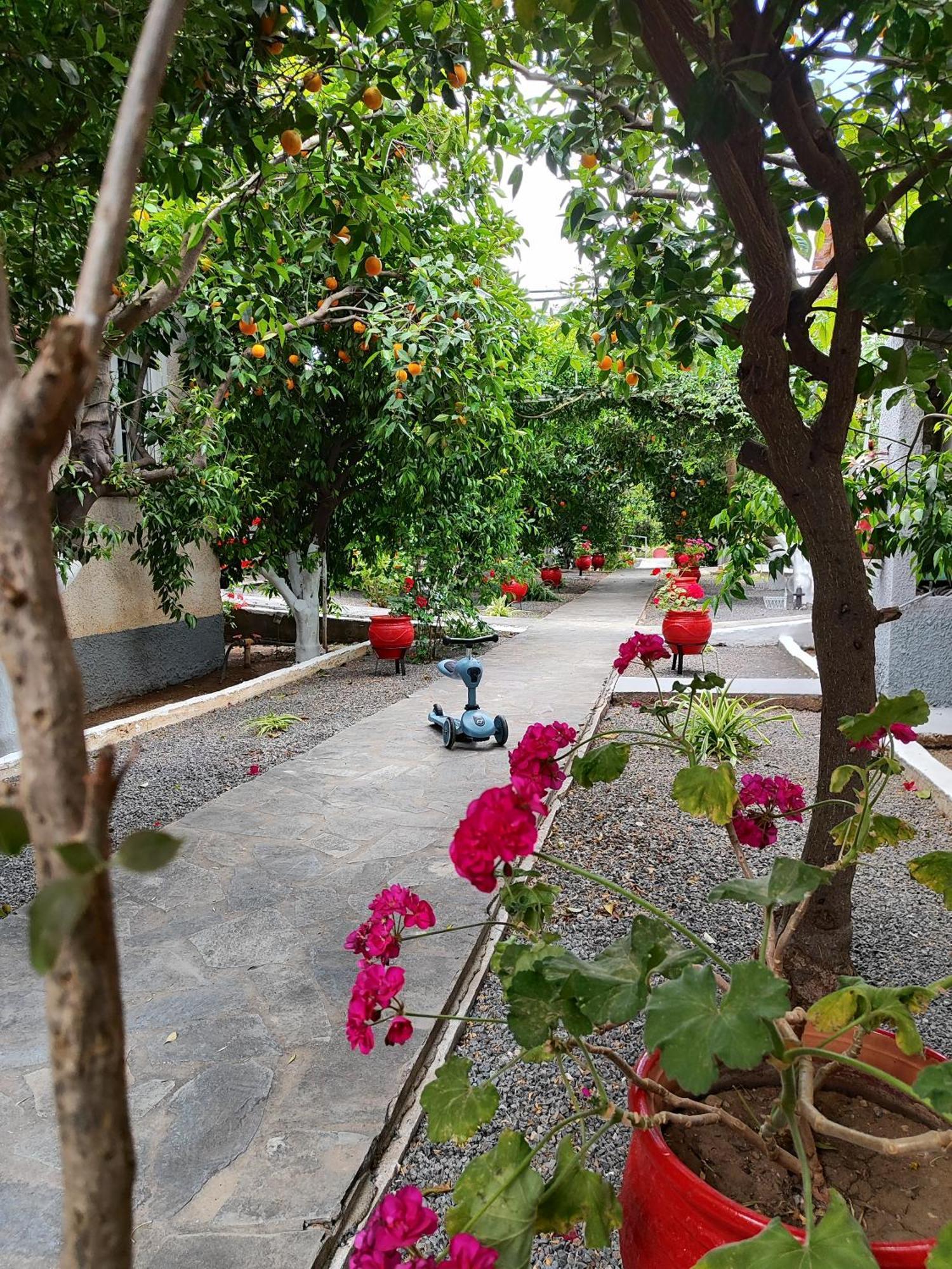 Cottonclub Villas Τολό Εξωτερικό φωτογραφία