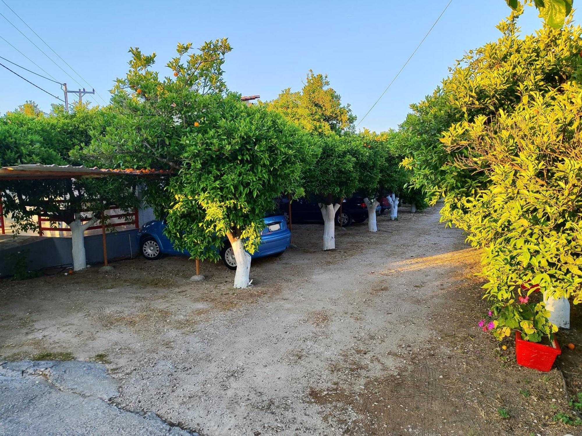 Cottonclub Villas Τολό Εξωτερικό φωτογραφία