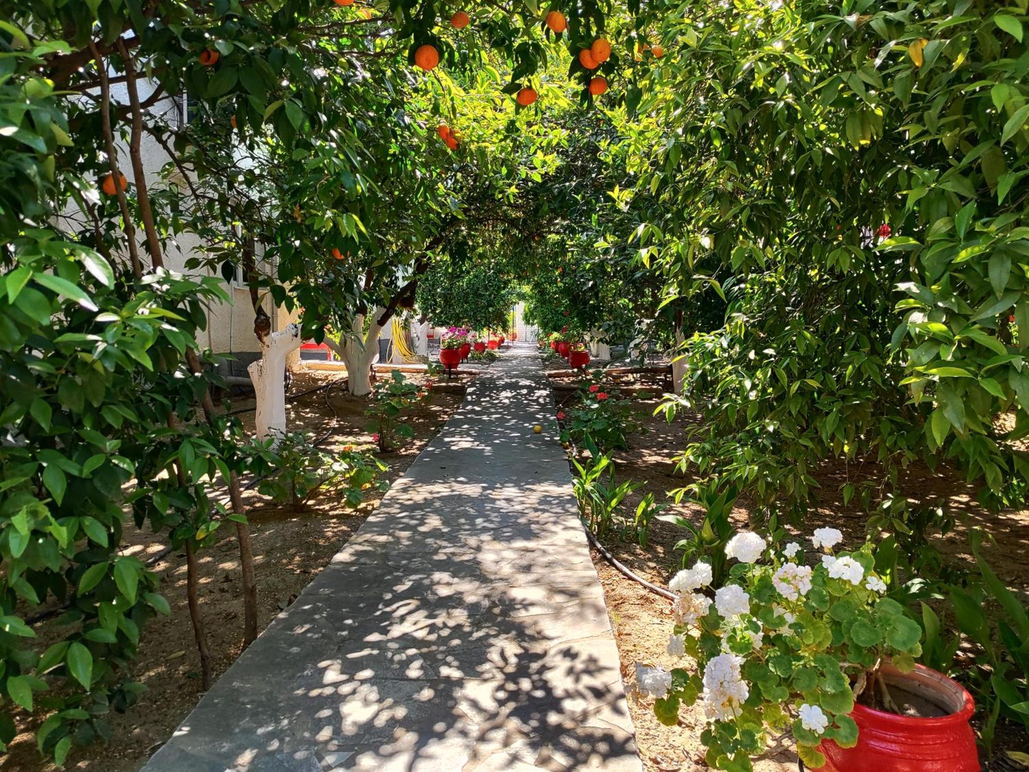 Cottonclub Villas Τολό Εξωτερικό φωτογραφία