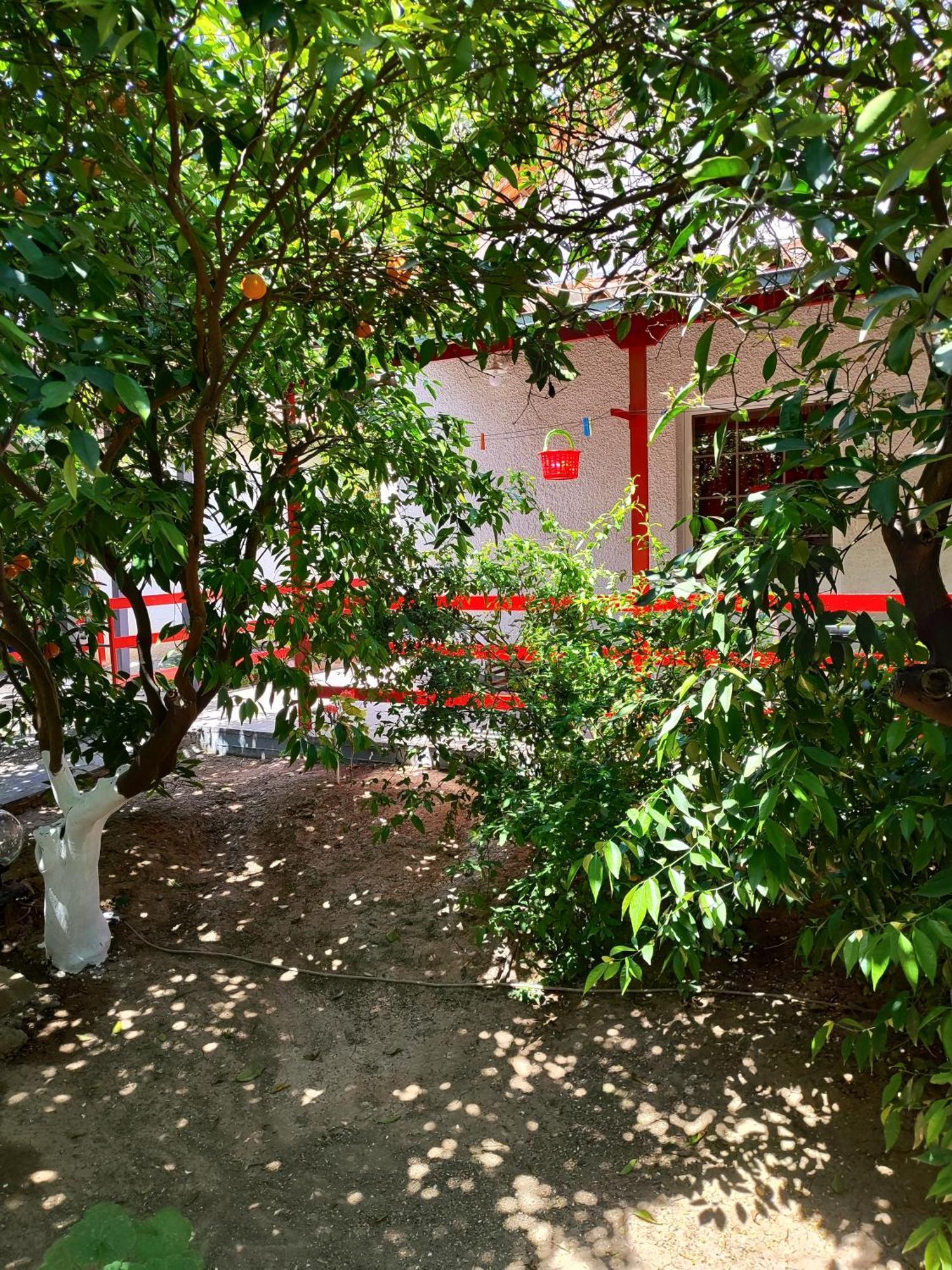 Cottonclub Villas Τολό Εξωτερικό φωτογραφία