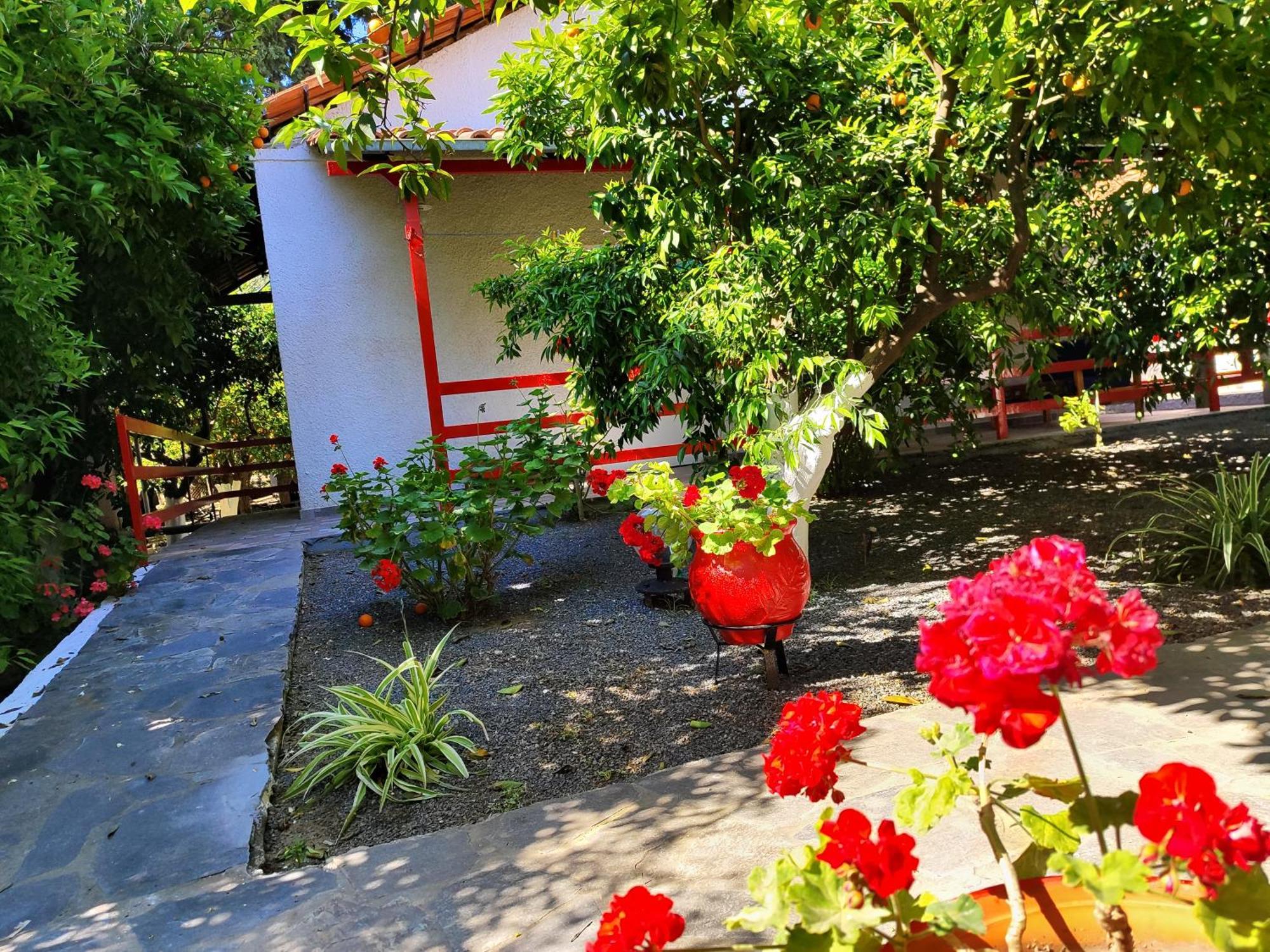 Cottonclub Villas Τολό Εξωτερικό φωτογραφία